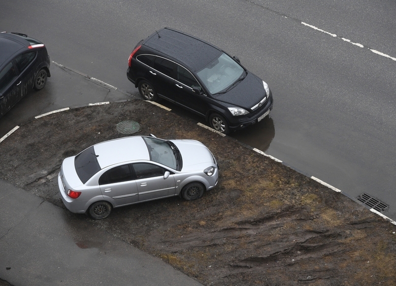 Изображение Верховный суд не разрешил парковаться на газоне даже для принятия лекарства