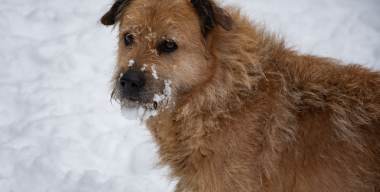 Фото: Oleg Spiridonov/globallookpress.com