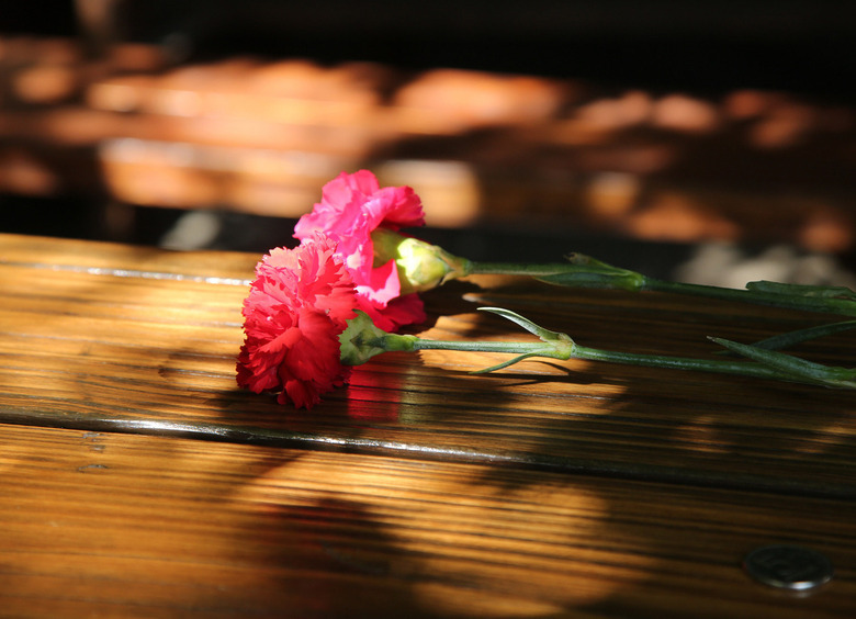 Изображение На трассе «Кола» лобовое столкновение при обгоне унесло жизни супружеской пары