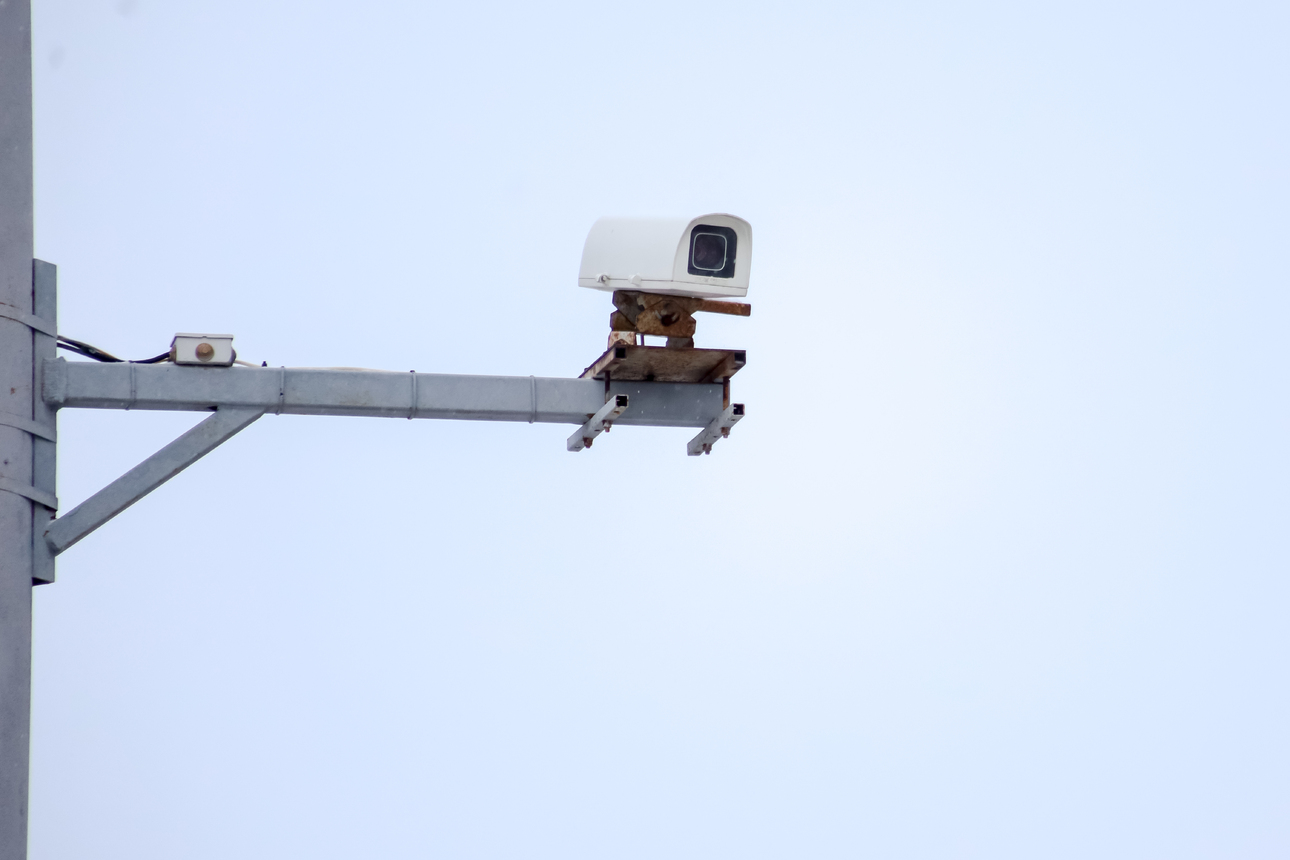 Фото Elena Mayorova/globallookpress.com