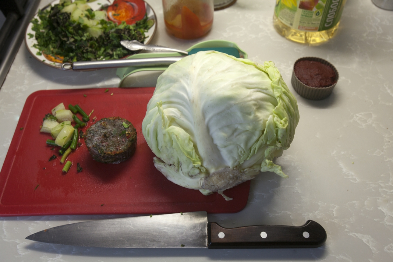 Фото Nikolay Gyngazov/globallookpress.com