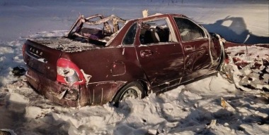 LADA Priora вылетела в кювет после столкновения с лошадьми под Омском