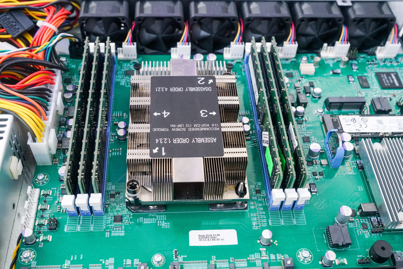 Фото Vyacheslav Nemyshev/globallookpress.com