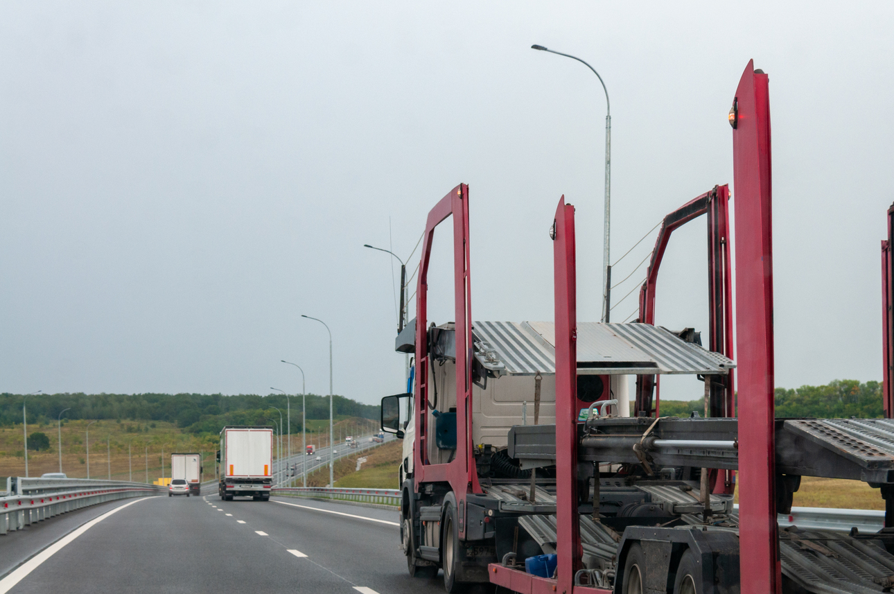 Фото Svetlana Vozmilova/globallookpress.com