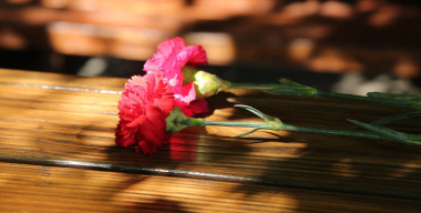 Трое погибли в лобовом столкновении на трассе в Калмыкии