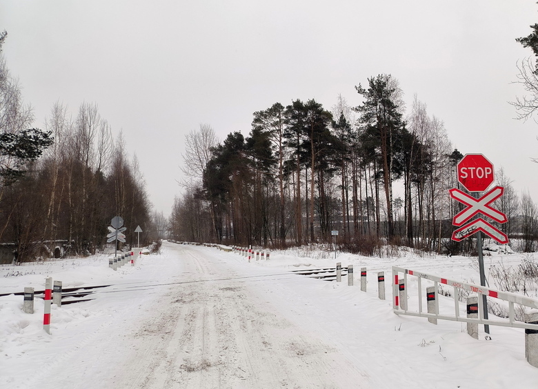 Изображение Легковушка столкнулась с электропоездом в Ростовской области: есть погибшие