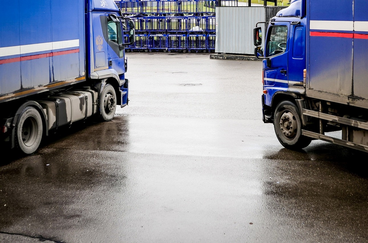 Фото: Roman Naumov/globallookpress.com