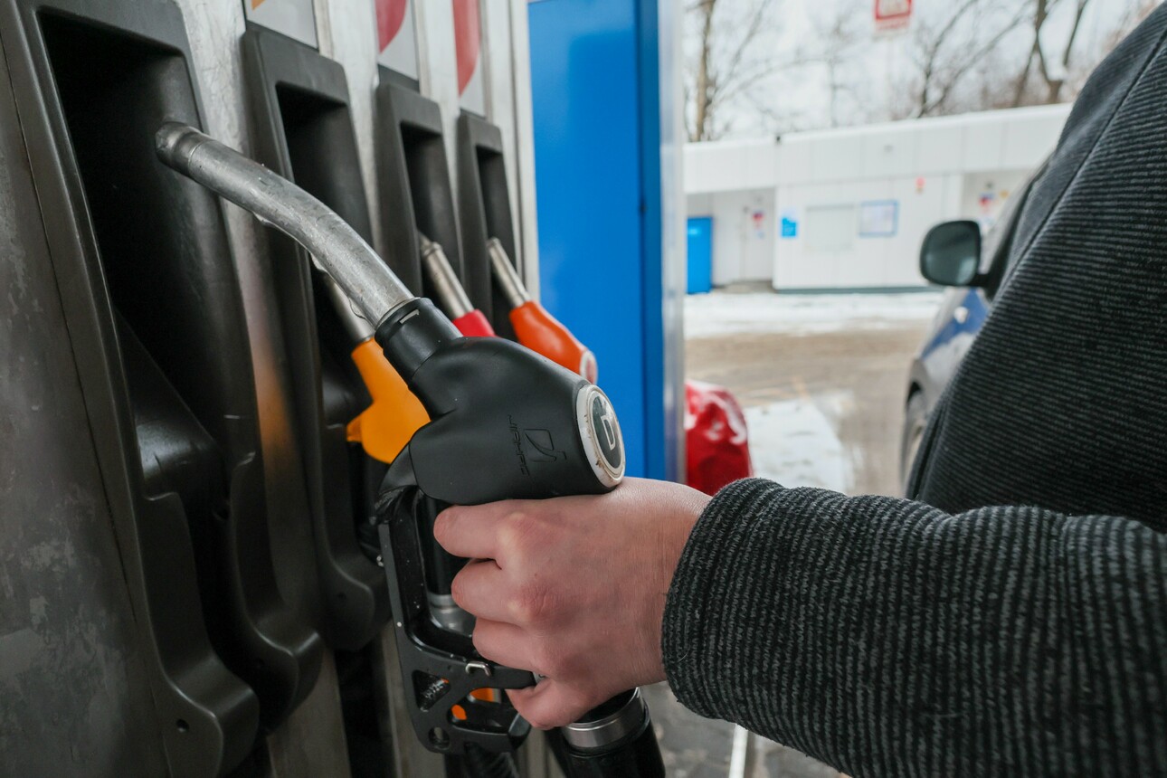 Фото Belkin Alexey/globallookpress.com