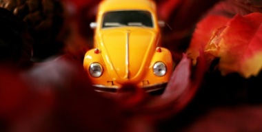 Фото: Yana Gorbunova/unsplash.com