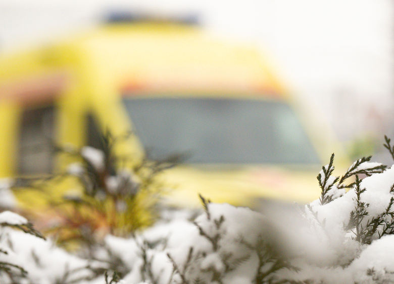 Изображение Труп работника лесничества нашли рядом с его машиной на Сахалине