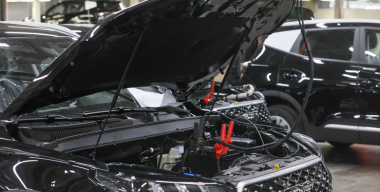 Tenet Plus приступил к поиску дилеров в России