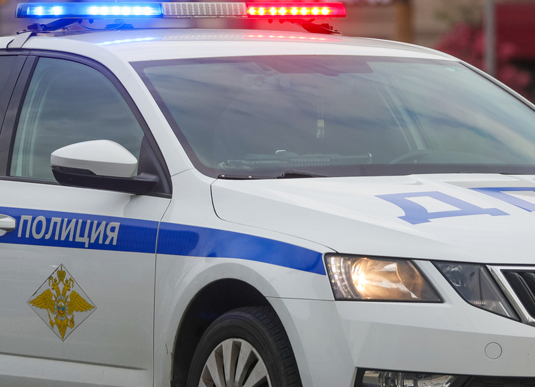 Изображение Пьяный рецидивист угнал машину и пытался скрыться от полиции под Тамбовом