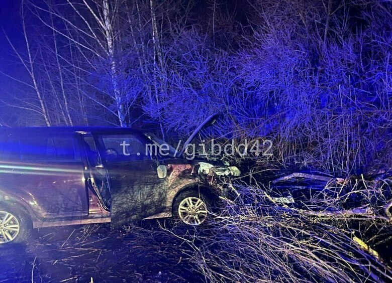 Изображение Труп человека в машине нашли в глухой лесополосе в Кузбассе