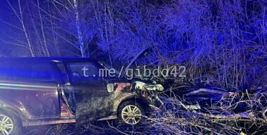 Труп человека в машине нашли в глухой лесополосе в Кузбассе