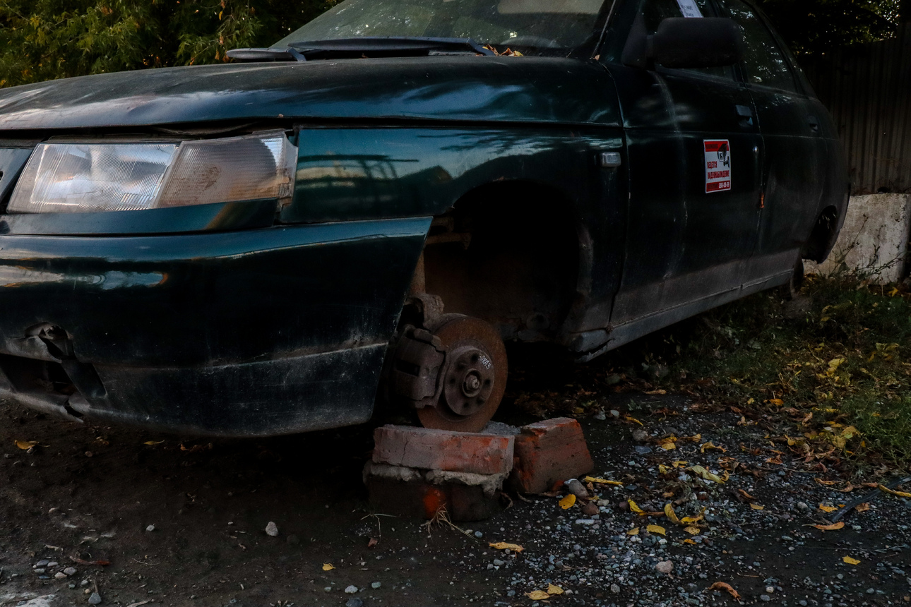 Фото Elena Mayorova/globallookpress.com