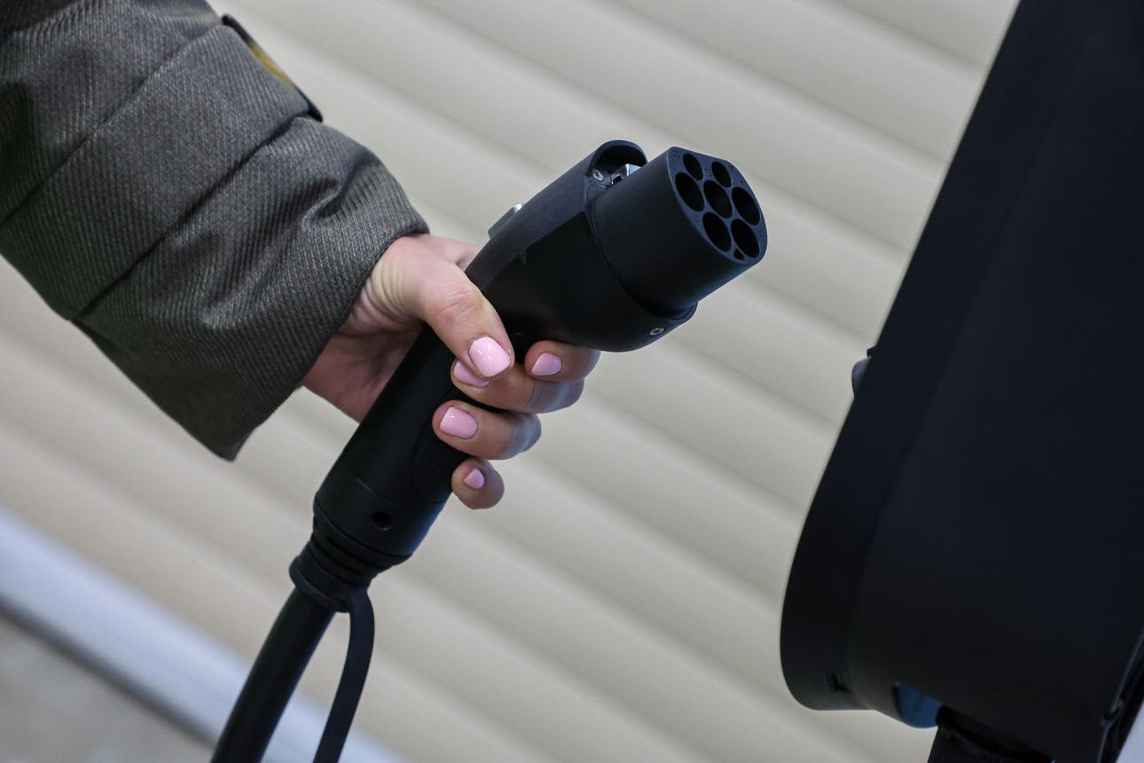 Фото Belkin Alexey/globallookpress.com