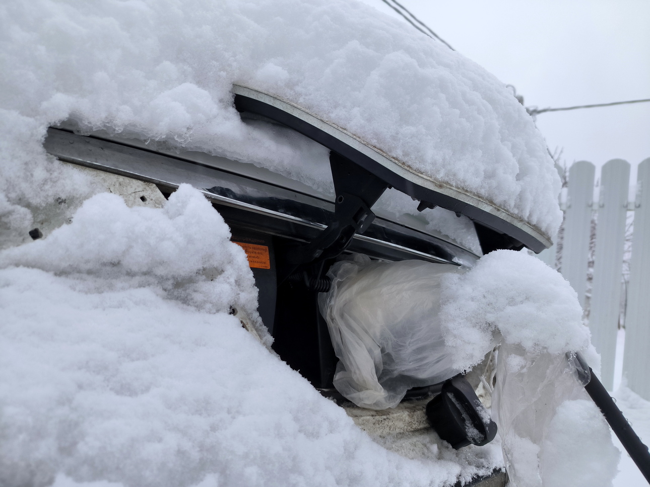 Фото Maksim Konstantinov/globallookpress.com