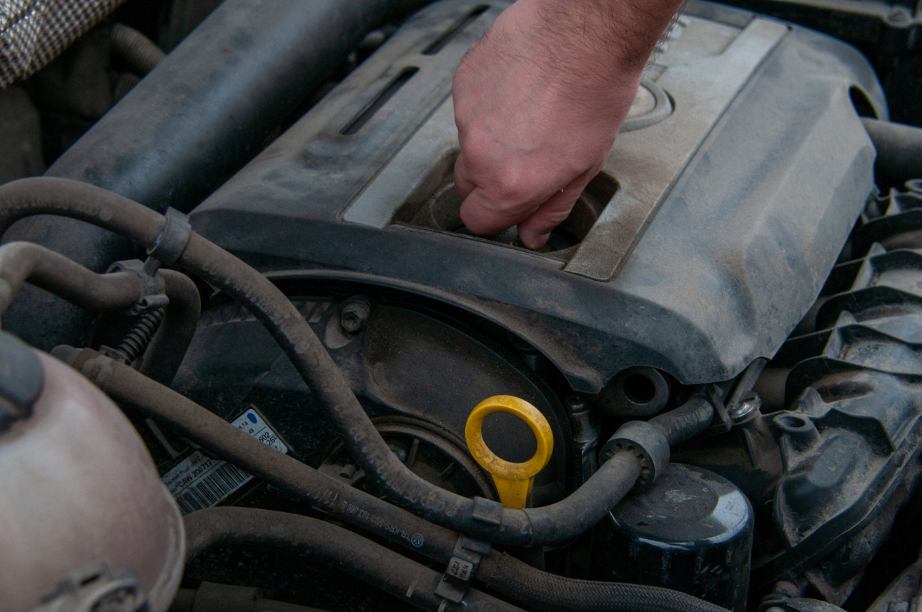 Фото: Svetlana Vozmilova/globallookpress.com