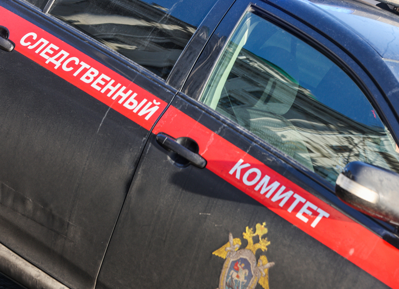 Изображение Водитель из Владивостока насмерть сбил знакомого, спутав его с обидчиком