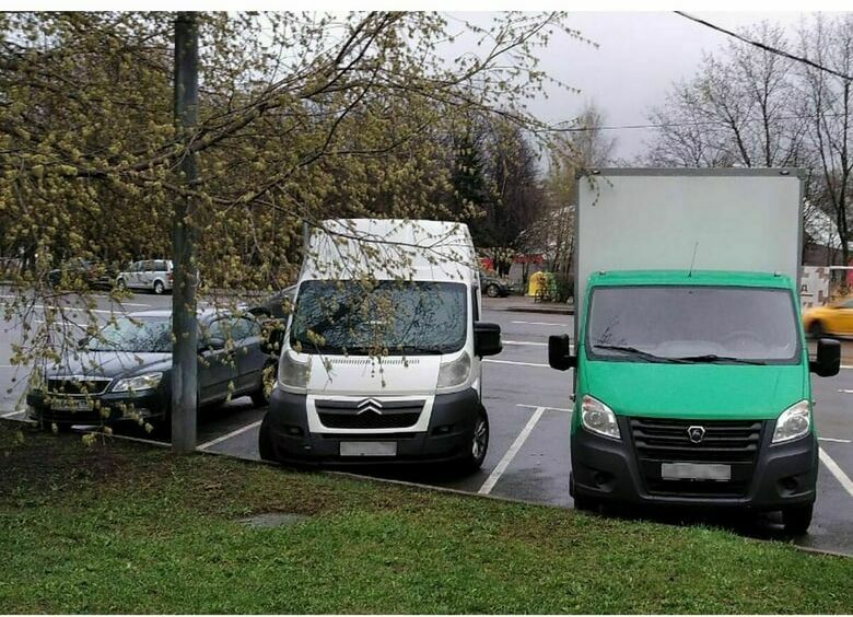 Изображение Выбор моторных масел для бензиновых и дизельных двигателей