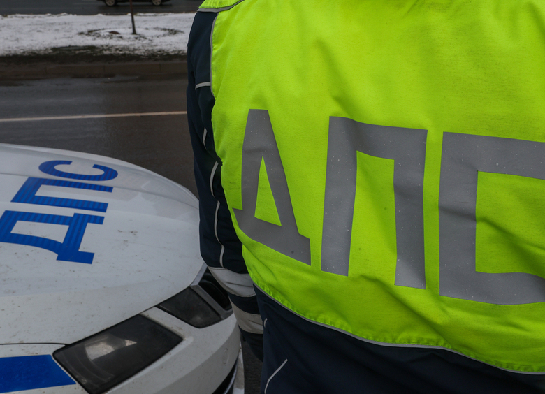 Изображение Машина с мигалками и символикой ДПС сбила женщину с ребенком в Ленобласти