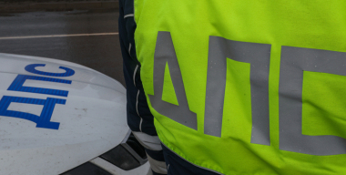 Машина с мигалками и символикой ДПС сбила женщину с ребенком в Ленобласти