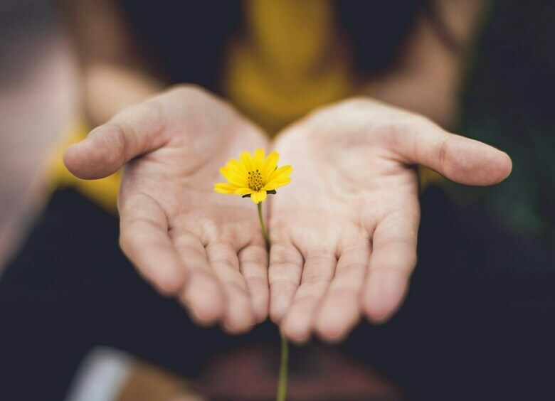 Изображение Дарите женщинам цветы: подарки, которые хороши не только 8 марта