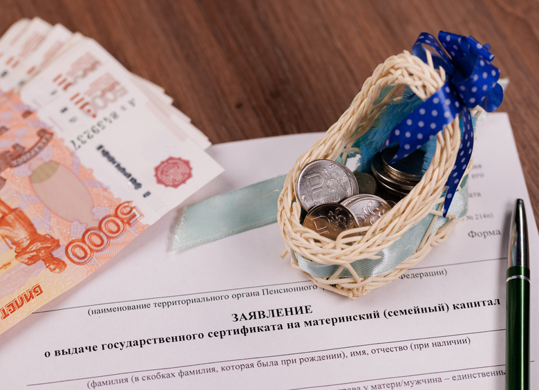 Госдуму призвали одобрить покупку автомобиля с помощью маткапитала