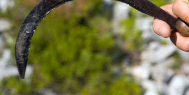 Житель Кубани с серпом в руках повредил пять машин в станице Челбасской