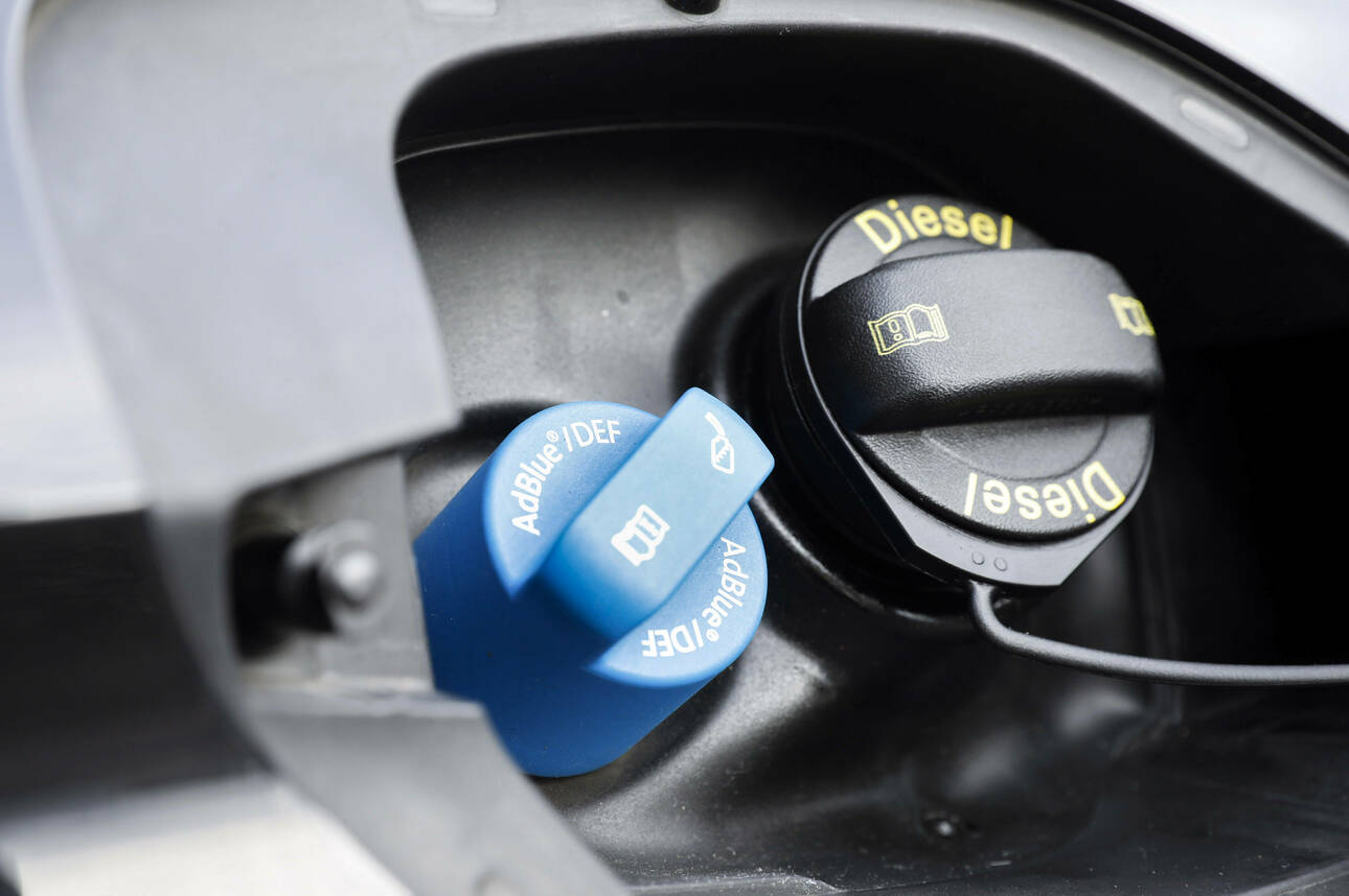 Фото IMAGO/Robert Schmiegelt/globallookpress.com