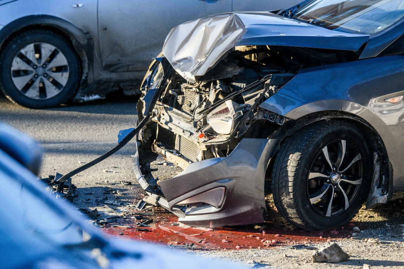 Фото  Ilya Moskovets/globallookpress.com