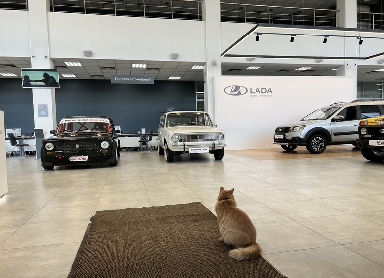 Трансформация авторынка: «китайцы», «гибкие поставки» и крутое пике LADA