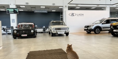 Трансформация авторынка: «китайцы», «гибкие поставки» и крутое пике LADA