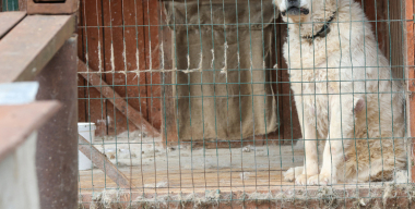Волгоградский автослесарь «похоронил» бизнес клиентки и попал под суд