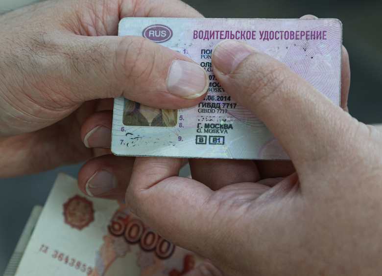 Изображение Купила «права» в Интернете и попала в ДТП: мать двоих детей отправится в тюрьму