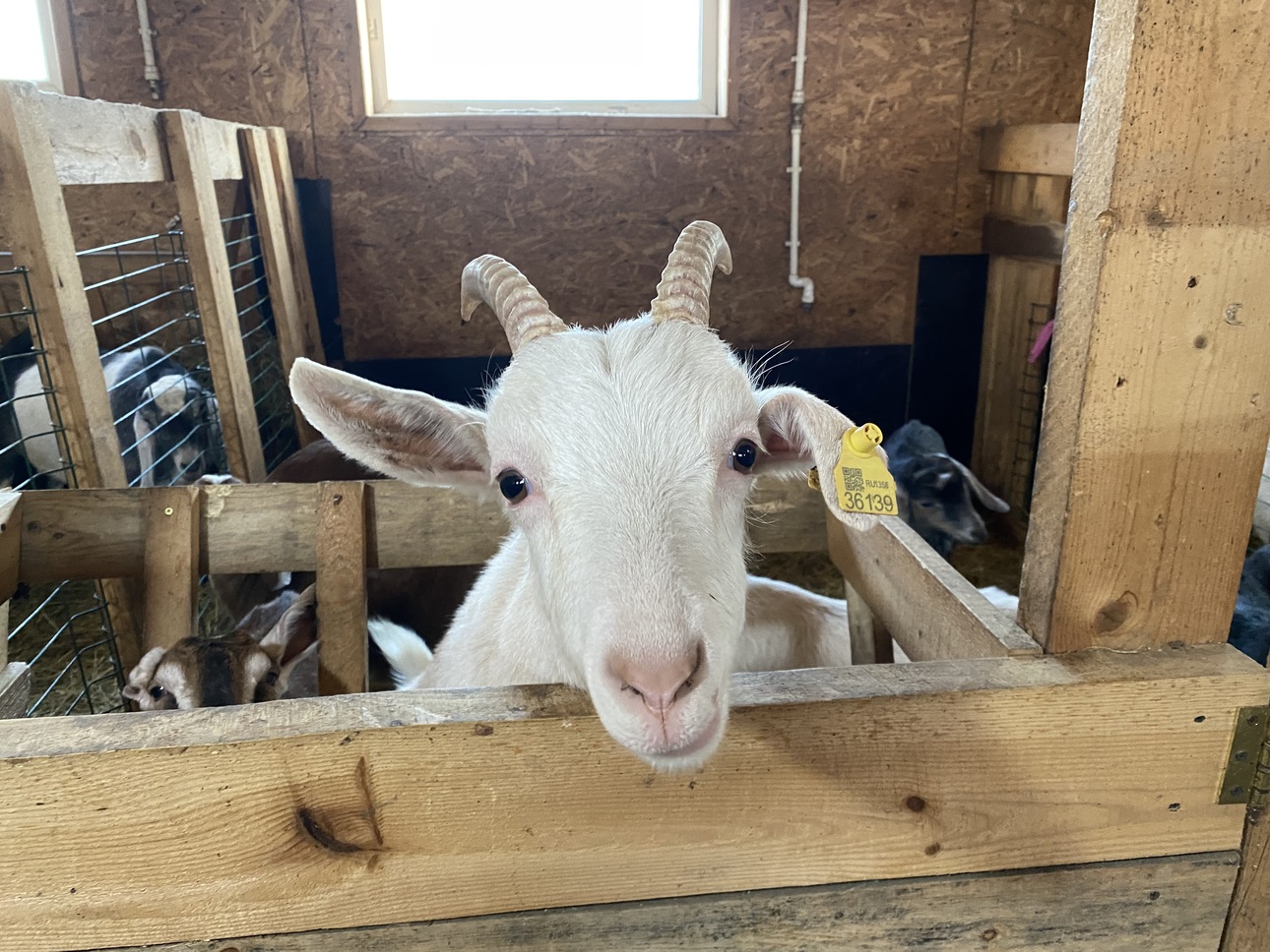 Фото avtovzglyad.ru