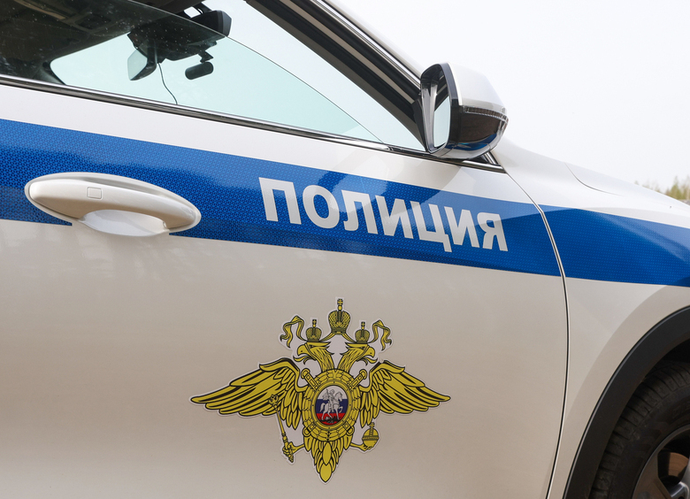 Изображение Двое мужчин на глазах очевидцев затащили упирающуюся девушку в машину