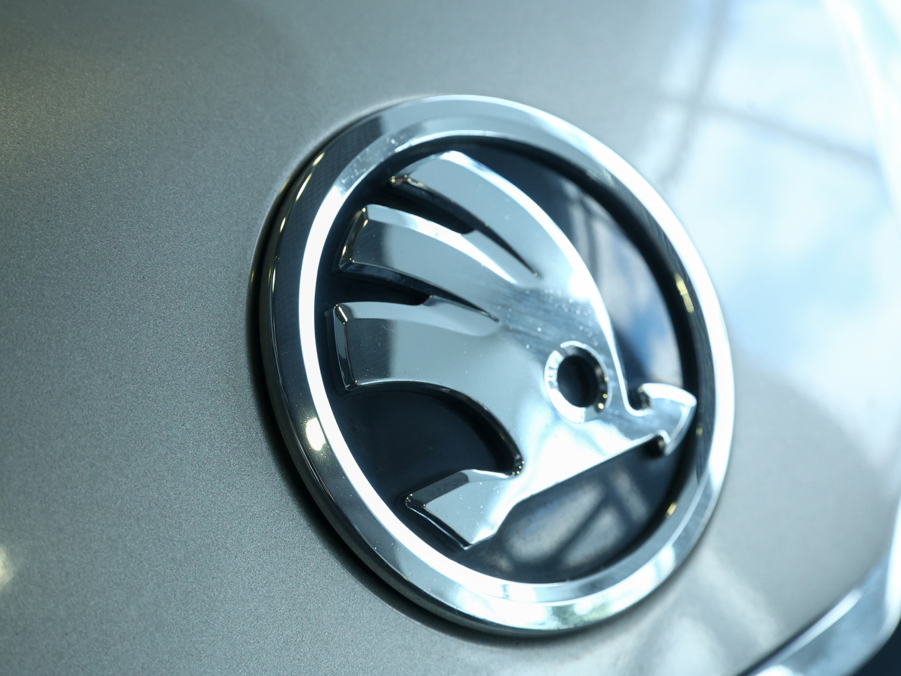 Фото Petrov Sergey/globallookpress.com