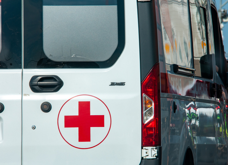 Изображение Водитель Renault на высокой скорости влетел в толпу детей на «зебре»