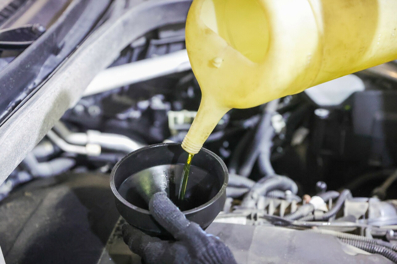 Фото Shatokhina Natalia/globallookpress.com