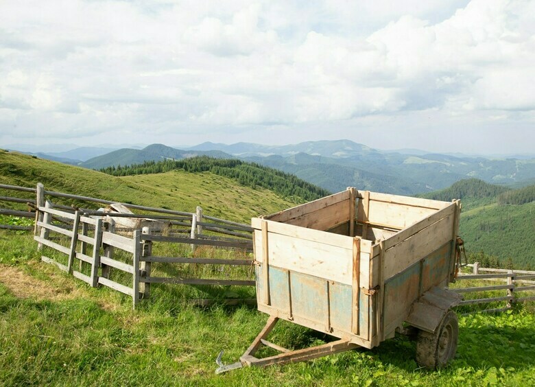 Изображение Житель Ставрополя запряг себя в повозку и пошёл пешком в Латинскую Америку