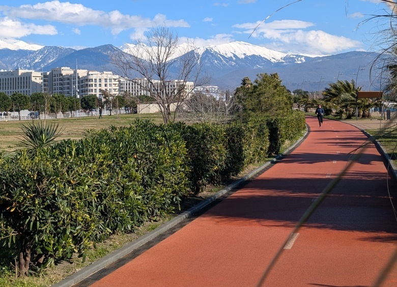 Эксперт Эрдман объяснила, почему велодорожки пока не могут решить проблему СИМ
