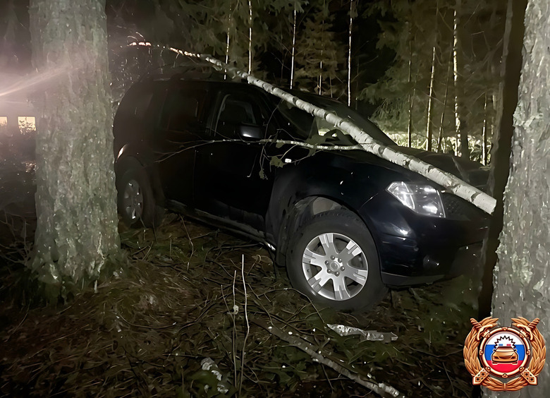 Изображение 16-летняя девушка прокатила мальчиков в кювет на родительском внедорожнике