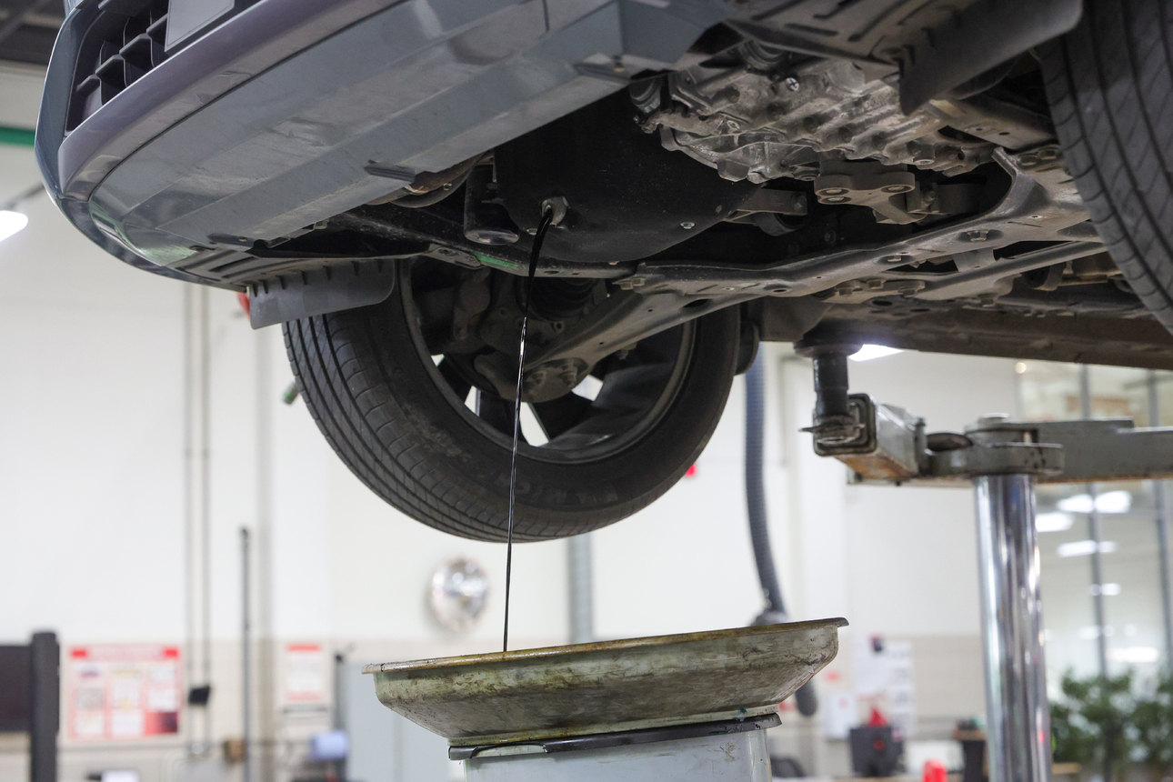 Фото: Shatokhina Natalia/globallookpress.com