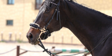 Фото: Elena Mayorova/globallookpress.com