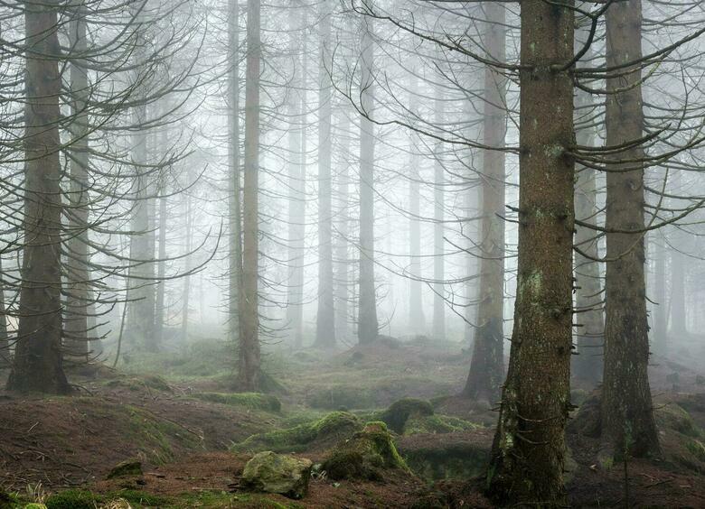 Изображение Не везде ход: зябкую ночь трое марийцев пережили в застрявшей «буханке»