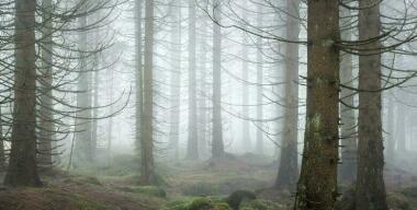 Не везде ход: зябкую ночь трое марийцев пережили в застрявшей «буханке»