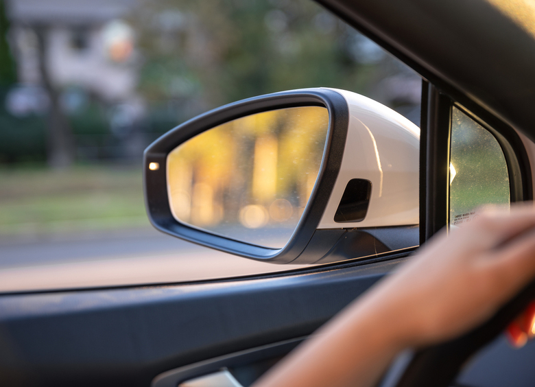 Цветущий сад: зачем европейские водители надевают на боковые зеркала бронемешки