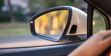 Цветущий сад: зачем европейские водители надевают на боковые зеркала бронемешки