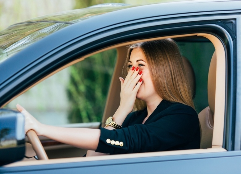 Изображение Тянет болотом: почему весной в салоне автомобиля появляются неприятные запахи